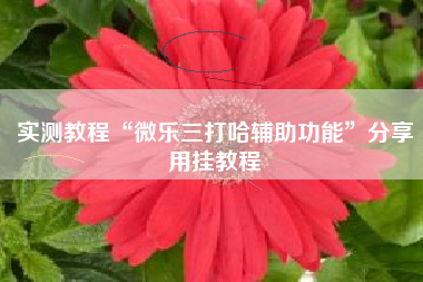 实测教程“微乐三打哈辅助功能”分享用挂教程 实测教程“微乐三打哈辅助功能”分享用挂教程