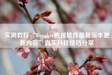 实测教程“Wepoker透视软件最新版本更新内容”真实开挂技巧分享 实测教程“Wepoker透视软件最新版本更新内容”真实开挂技巧分享