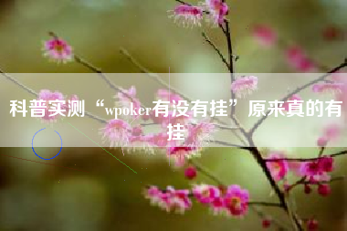 科普实测“wpoker有没有挂”原来真的有挂 科普实测“wpoker有没有挂”原来真的有挂