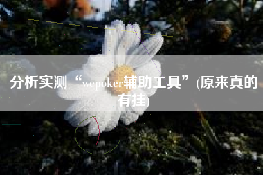 分析实测“wepoker辅助工具”(原来真的有挂) 分析实测“wepoker辅助工具”(原来真的有挂)