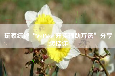 玩家综述“WePoker开挂辅助方法”分享装挂详 玩家综述“WePoker开挂辅助方法”分享装挂详