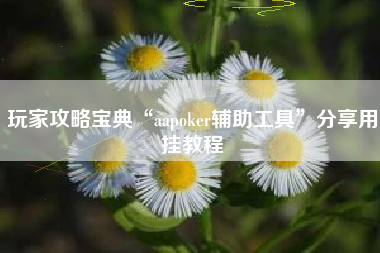 玩家攻略宝典“aapoker辅助工具”分享用挂教程 玩家攻略宝典“aapoker辅助工具”分享用挂教程