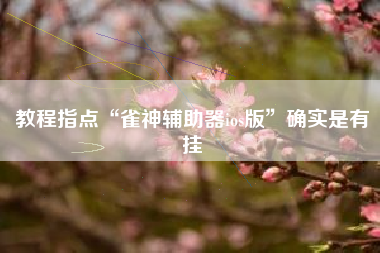 教程指点“雀神辅助器ios版”确实是有挂 教程指点“雀神辅助器ios版”确实是有挂
