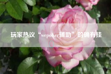 玩家热议“wepoKer辅助”的确有挂