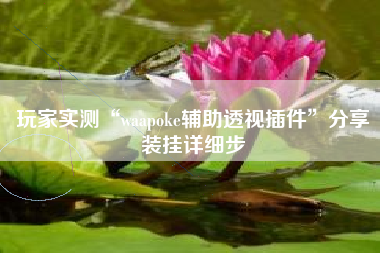 玩家实测“waapoke辅助透视插件”分享装挂详细步 玩家实测“waapoke辅助透视插件”分享装挂详细步