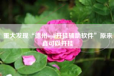 重大发现“德州wpk开挂辅助软件”原来真可以开挂 重大发现“德州wpk开挂辅助软件”原来真可以开挂
