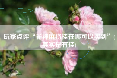 玩家点评“雀神麻将挂在哪可以买到”(其实是有挂) 玩家点评“雀神麻将挂在哪可以买到”(其实是有挂)