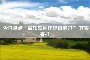 今日盘点“微乐软件挂是真的吗”(其实有挂)