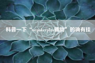 科普一下“wepokerplus辅助”的确有挂 科普一下“wepokerplus辅助”的确有挂