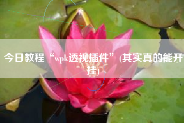 今日教程“wpk透视插件”(其实真的能开挂) 今日教程“wpk透视插件”(其实真的能开挂)