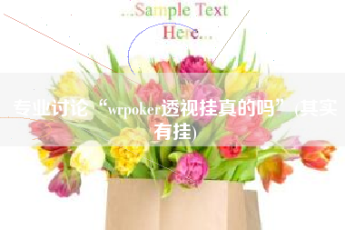 专业讨论“wrpoker透视挂真的吗”(其实有挂)
