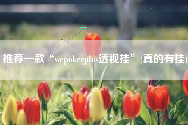 推荐一款“wepokerplus透视挂”(真的有挂)