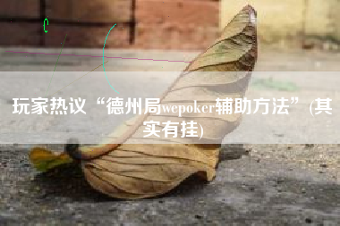 玩家热议“德州局wepoker辅助方法”(其实有挂)