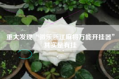 重大发现“微乐浙江麻将万能开挂器”其实是有挂 重大发现“微乐浙江麻将万能开挂器”其实是有挂