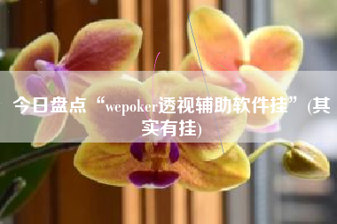 今日盘点“wepoker透视辅助软件挂”(其实有挂) 今日盘点“wepoker透视辅助软件挂”(其实有挂)