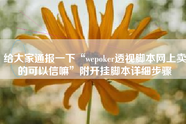 给大家通报一下“wepoker透视脚本网上卖的可以信嘛”附开挂脚本详细步骤