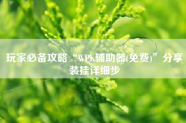 玩家必备攻略“WPK辅助器(免费)”分享装挂详细步