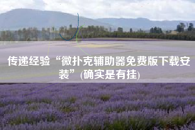 传递经验“微扑克辅助器免费版下载安装”(确实是有挂)