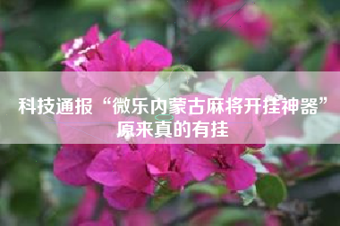 科技通报“微乐内蒙古麻将开挂神器”原来真的有挂 科技通报“微乐内蒙古麻将开挂神器”原来真的有挂