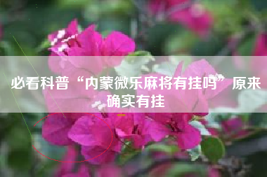 必看科普“内蒙微乐麻将有挂吗”原来确实有挂