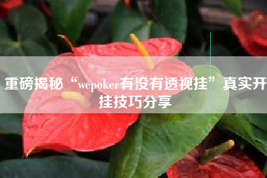 重磅揭秘“wepoker有没有透视挂”真实开挂技巧分享