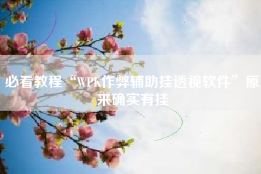 必看教程“WPK作弊辅助挂透视软件”原来确实有挂