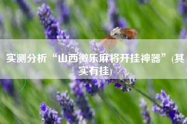 实测分析“山西微乐麻将开挂神器”(其实有挂)