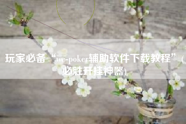 玩家必备“we-poker辅助软件下载教程”(必胜开挂神器) 玩家必备“we-poker辅助软件下载教程”(必胜开挂神器)