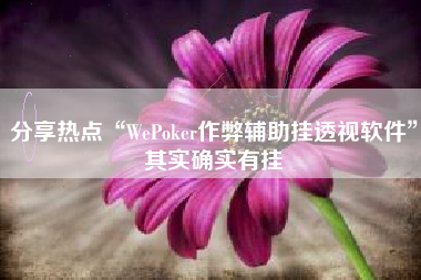 分享热点“WePoker作弊辅助挂透视软件”其实确实有挂 分享热点“WePoker作弊辅助挂透视软件”其实确实有挂