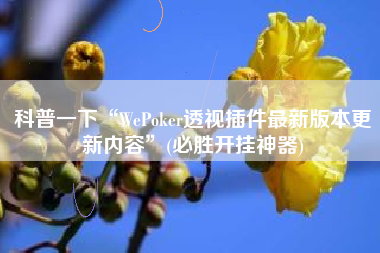 科普一下“WePoker透视插件最新版本更新内容”(必胜开挂神器)