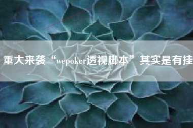 重大来袭“wepoker透视脚本”其实是有挂 重大来袭“wepoker透视脚本”其实是有挂