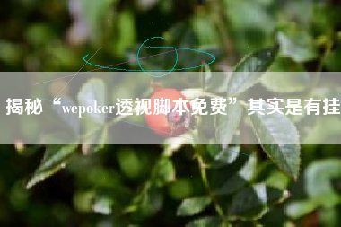 揭秘“wepoker透视脚本免费”其实是有挂
