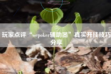 玩家点评“wepoker辅助器”真实开挂技巧分享