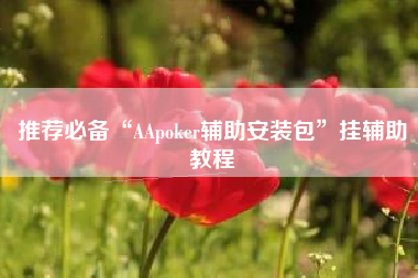推荐必备“AApoker辅助安装包”挂辅助教程 推荐必备“AApoker辅助安装包”挂辅助教程