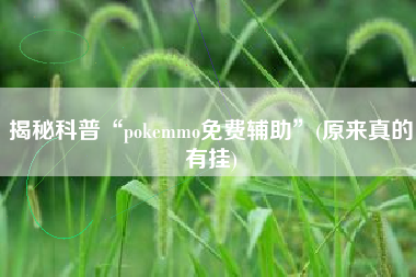 揭秘科普“pokemmo免费辅助”(原来真的有挂) 揭秘科普“pokemmo免费辅助”(原来真的有挂)