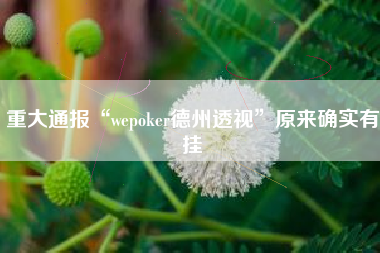 重大通报“wepoker德州透视”原来确实有挂 重大通报“wepoker德州透视”原来确实有挂