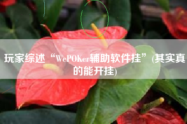 玩家综述“WePOKer辅助软件挂”(其实真的能开挂)