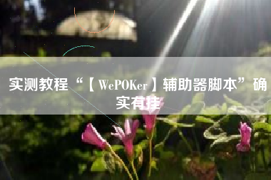 实测教程“【WePOKer】辅助器脚本”确实有挂 实测教程“【WePOKer】辅助器脚本”确实有挂