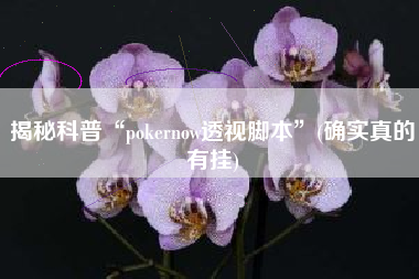 揭秘科普“pokernow透视脚本”(确实真的有挂) 揭秘科普“pokernow透视脚本”(确实真的有挂)