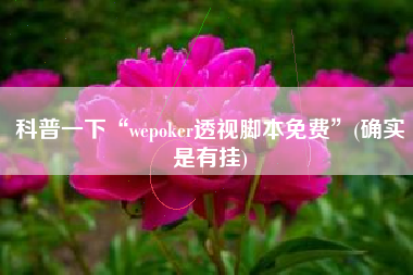 科普一下“wepoker透视脚本免费”(确实是有挂)