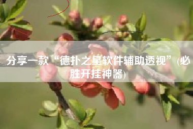 分享一款“德扑之星软件辅助透视”(必胜开挂神器)