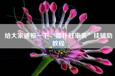 给大家通报一下“德扑胜率表”挂辅助教程