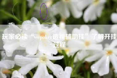 玩家必读“wepoker透视辅助挂”了解开挂过程 玩家必读“wepoker透视辅助挂”了解开挂过程