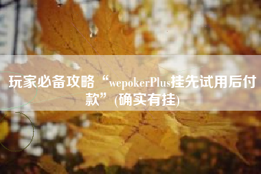 玩家必备攻略“wepokerPlus挂先试用后付款”(确实有挂) 玩家必备攻略“wepokerPlus挂先试用后付款”(确实有挂)
