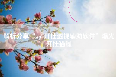 解析分享“wpk开挂透视辅助软件”爆光开挂猫腻
