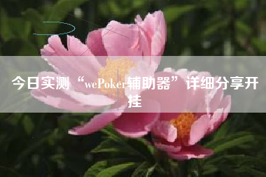 今日实测“wePoker辅助器”详细分享开挂
