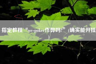 指定教程“we-poker作弊吗?”(确实能开挂)