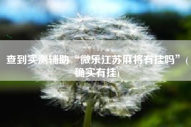 查到实测辅助“微乐江苏麻将有挂吗”(确实有挂)