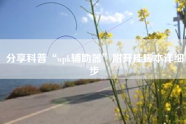 分享科普“wpk辅助器”附开挂脚本详细步 分享科普“wpk辅助器”附开挂脚本详细步