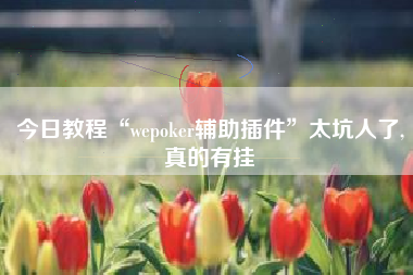 今日教程“wepoker辅助插件”太坑人了,真的有挂 今日教程“wepoker辅助插件”太坑人了,真的有挂